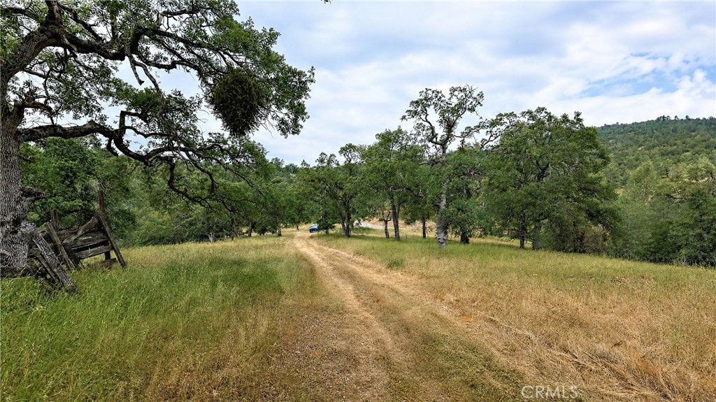 5616 Gold Creek Property Photo 11