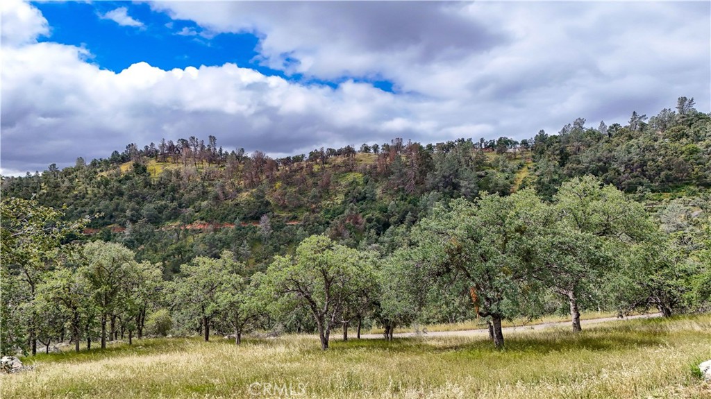 5616 Gold Creek Property Photo 41
