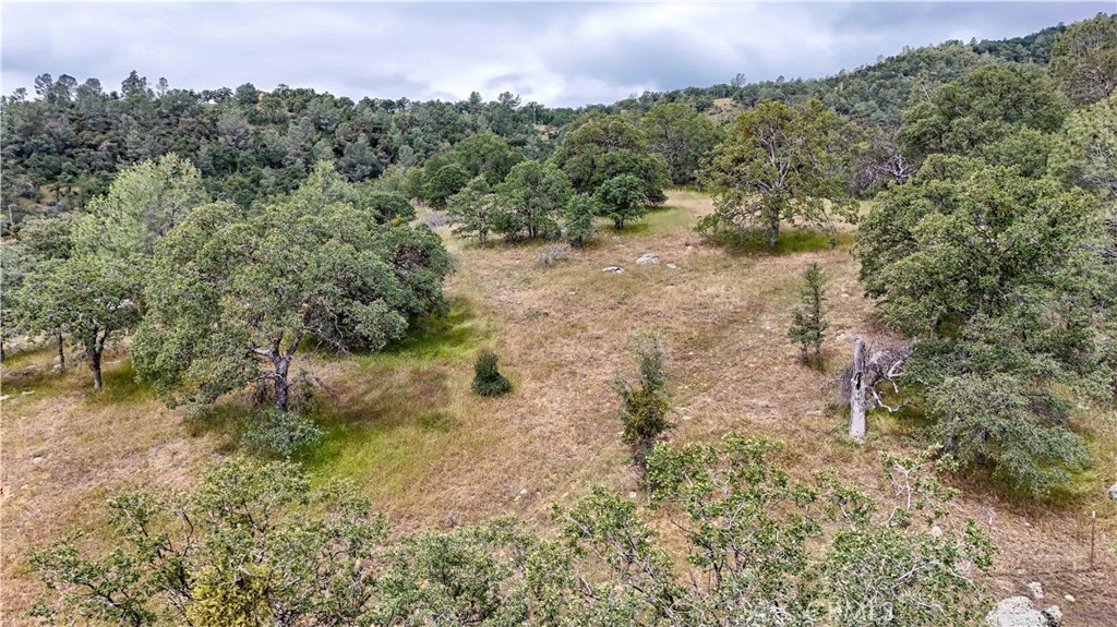 5616 Gold Creek Property Photo 57