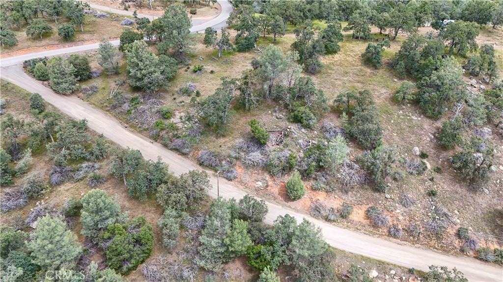 5616 Gold Creek Property Photo 72