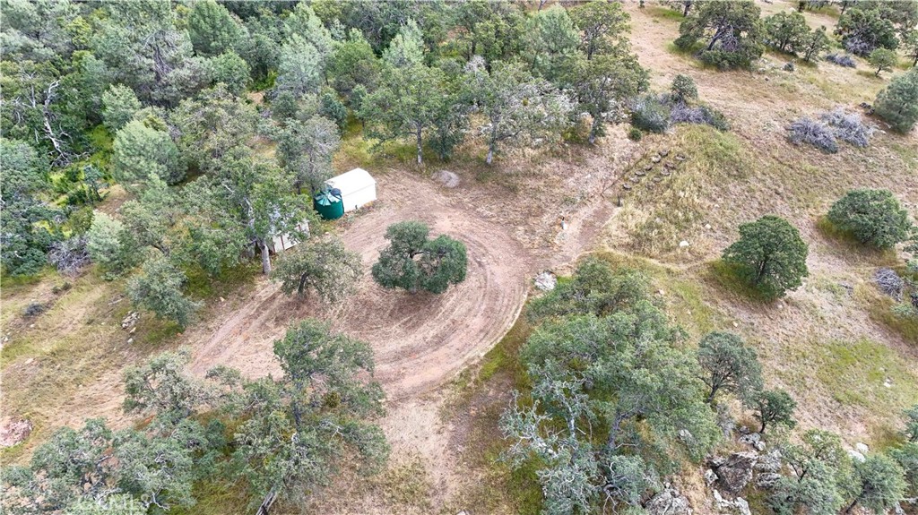 5616 Gold Creek Property Photo 73