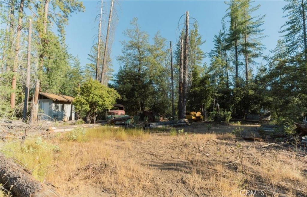 10902 Stout Lane Property Photo 1
