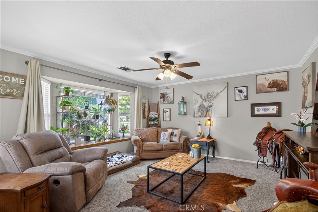 3442 Joerg Avenue Property Photo 6