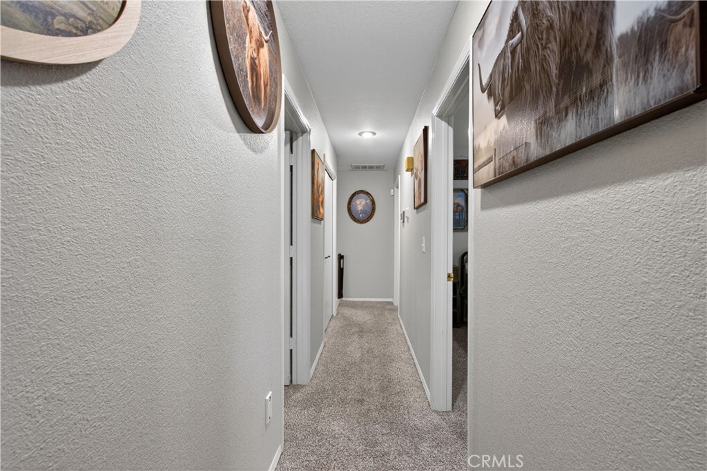3442 Joerg Avenue Property Photo 24