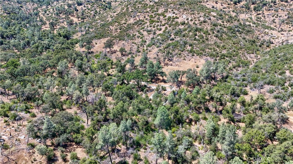 3631 Guadalupe Creek Property Photo 14