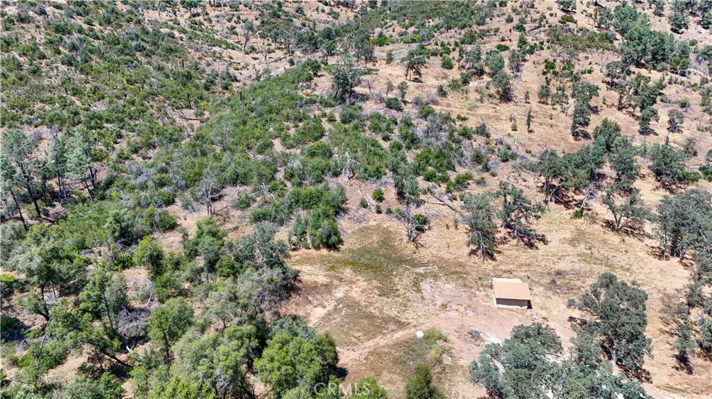 3631 Guadalupe Creek Property Photo 15