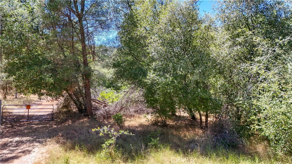 3631 Guadalupe Creek Property Photo 17