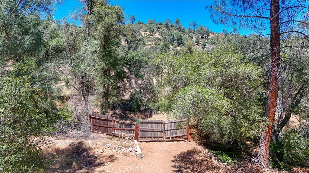 3631 Guadalupe Creek Property Photo 19