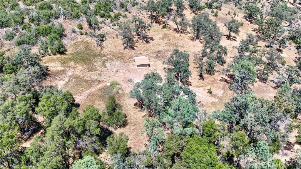 3631 Guadalupe Creek Property Photo 23