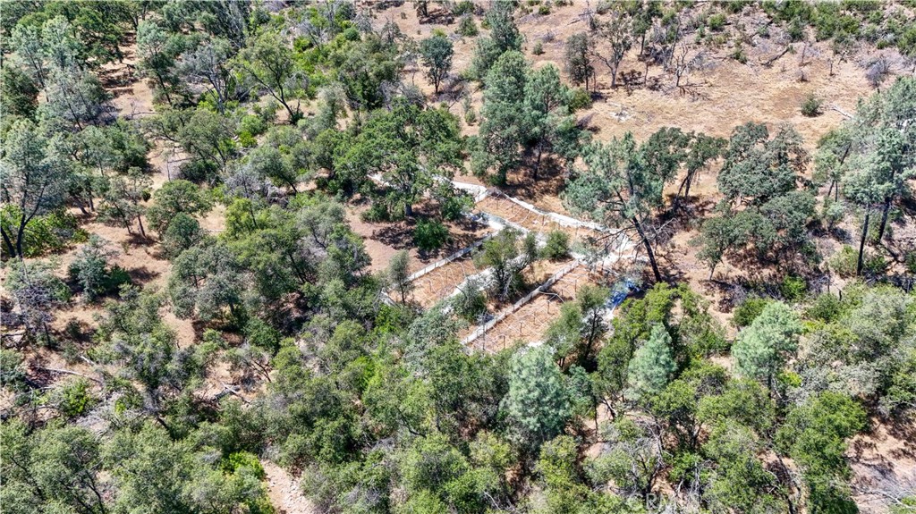 3631 Guadalupe Creek Property Photo 25