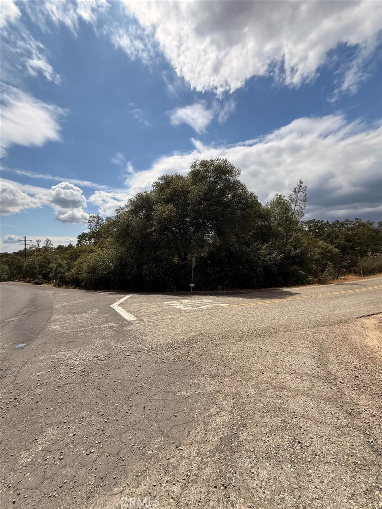 10357 Tulipan Property Photo 1