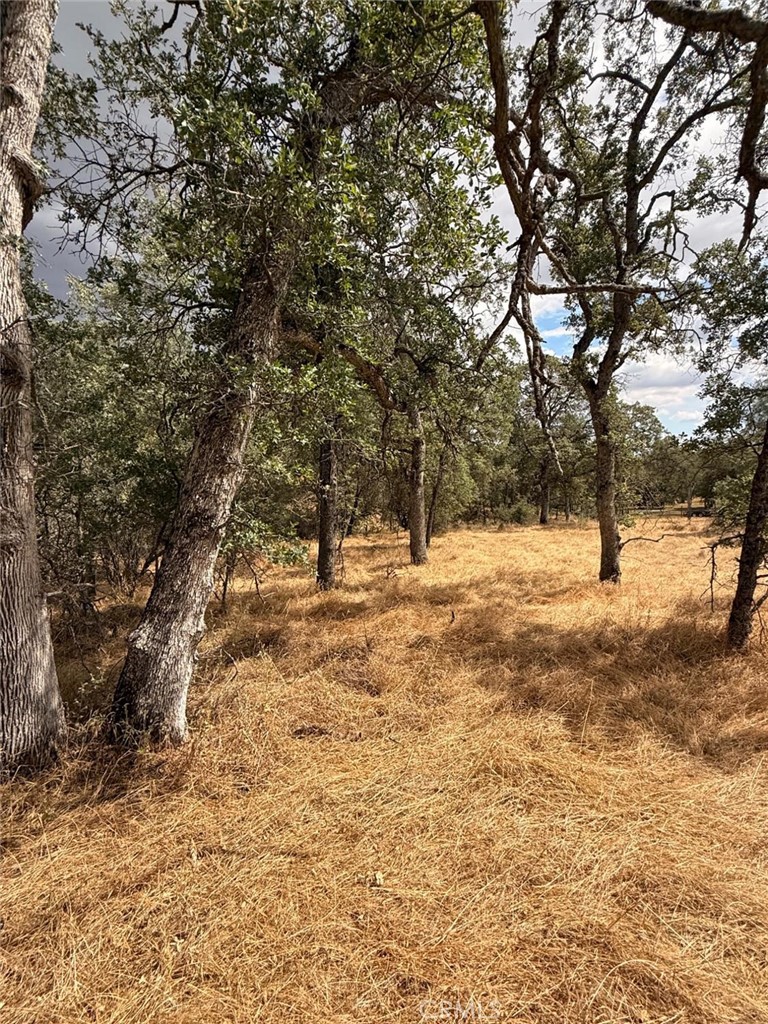 10357 Tulipan Property Photo 2
