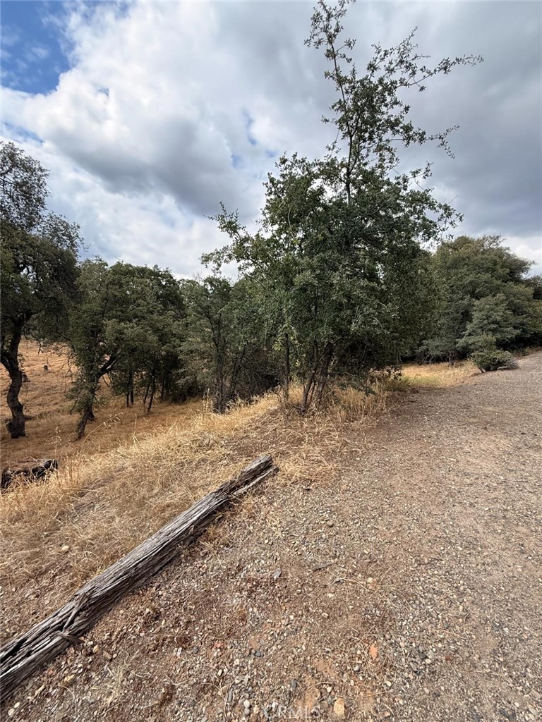10357 Tulipan Property Photo 3