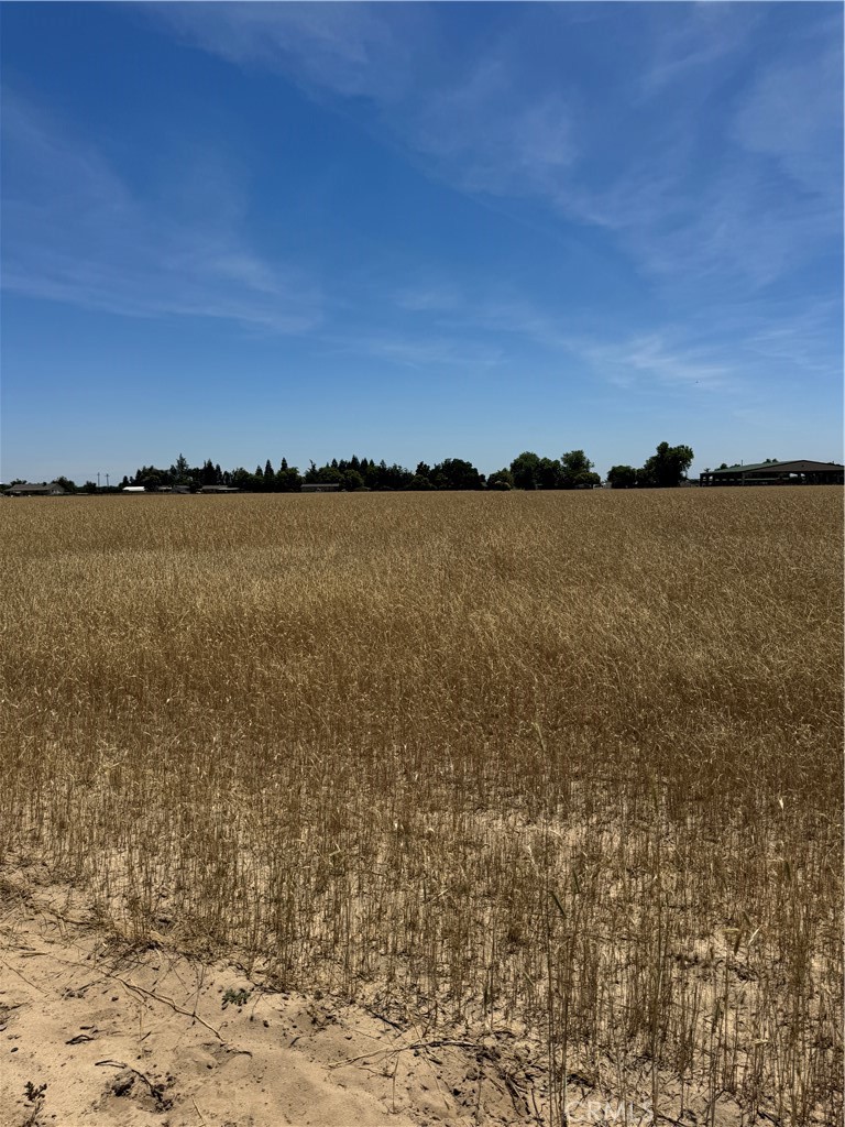 10366 Rose Property Photo 3