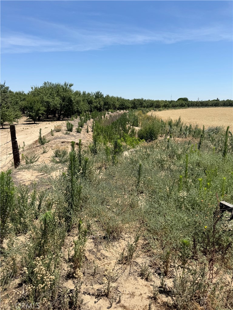 10366 Rose Property Photo 10