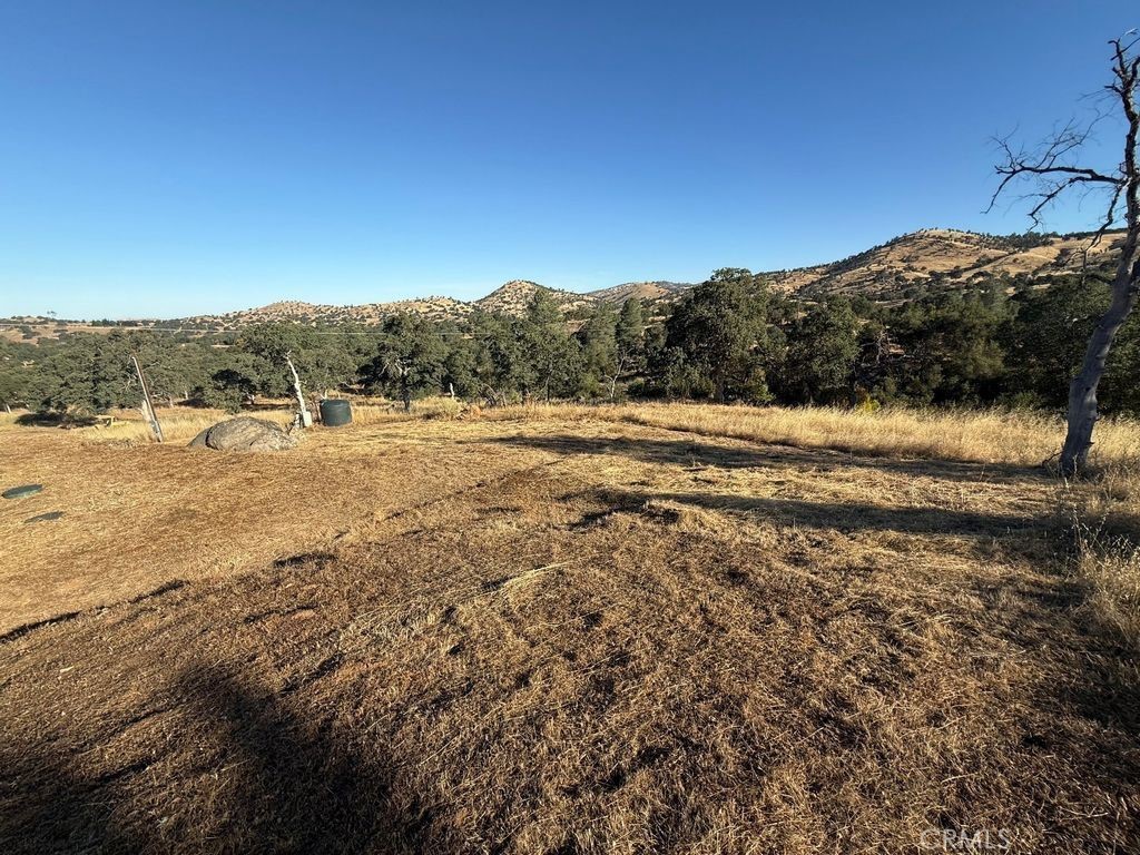5358 Dunn Ranch Property Photo 5