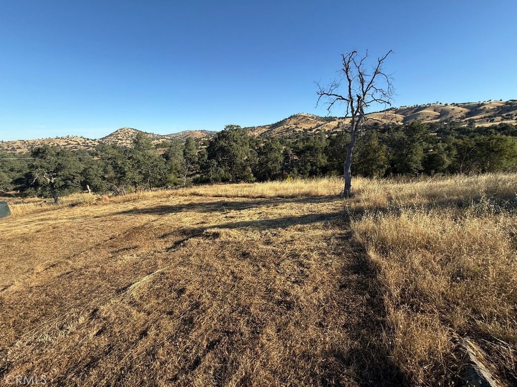 5358 Dunn Ranch Property Photo 6