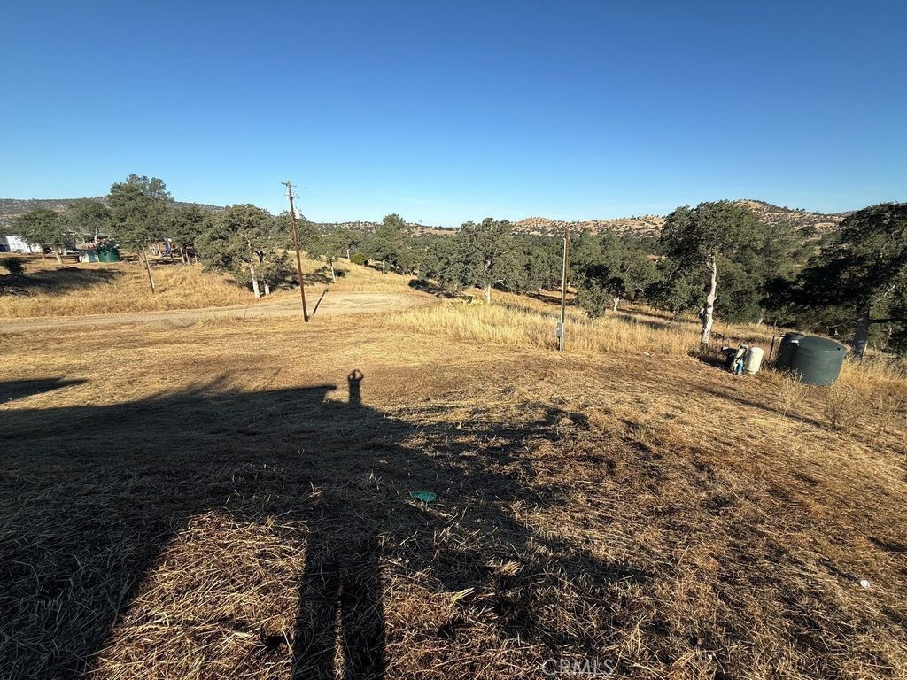 5358 Dunn Ranch Property Photo 17