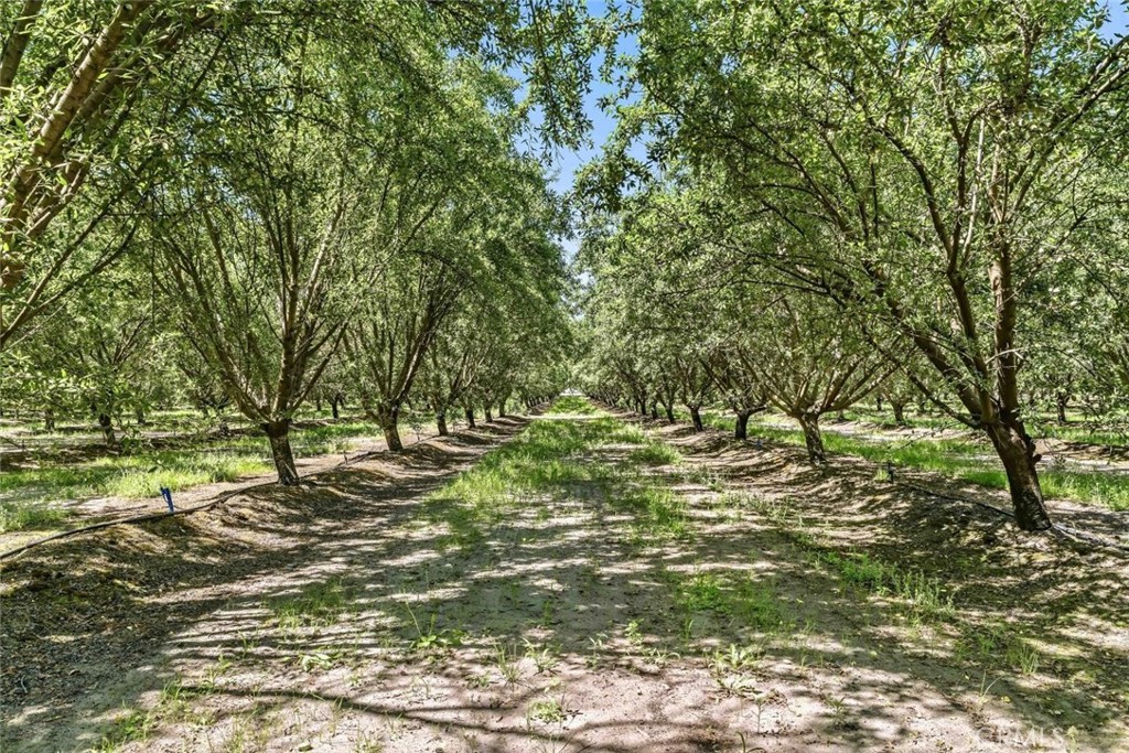 14361 Lombardy Property Photo 69