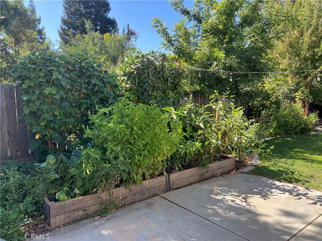 1338 Christopher Property Photo 36