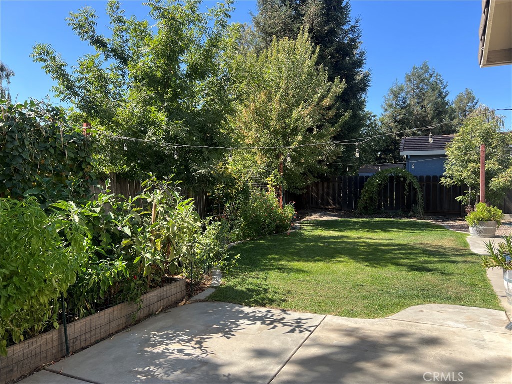 1338 Christopher Property Photo 37