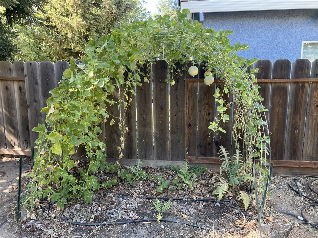 1338 Christopher Property Photo 39