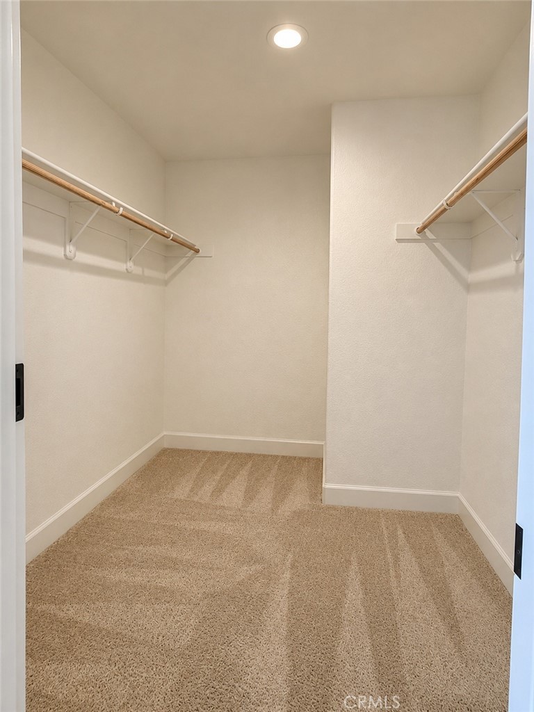5082 Palisade Property Photo 23