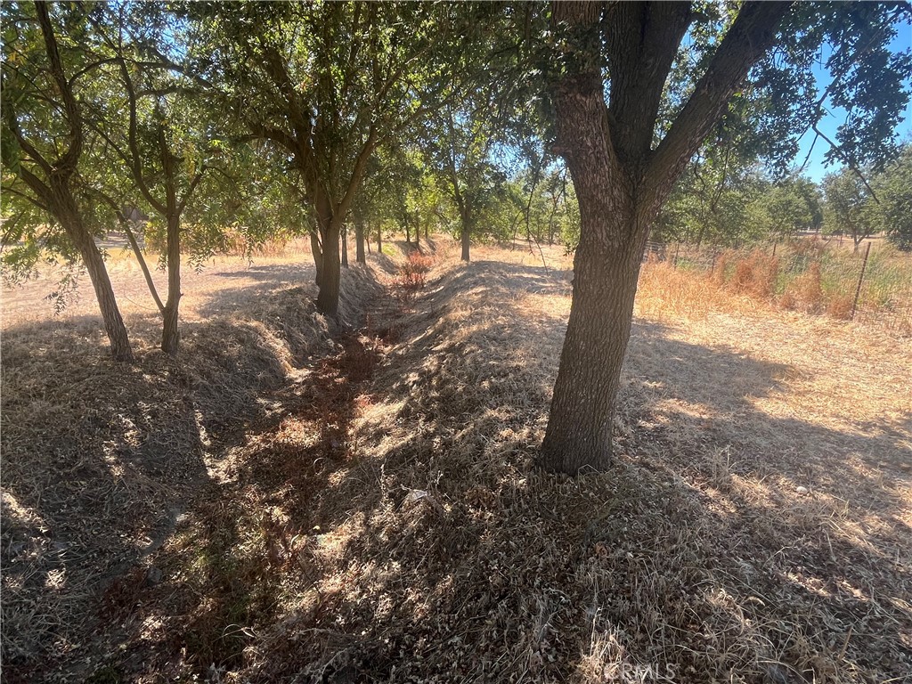 9835 Harvey Property Photo 13