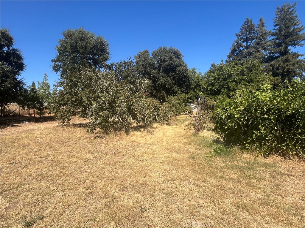 9835 Harvey Property Photo 14