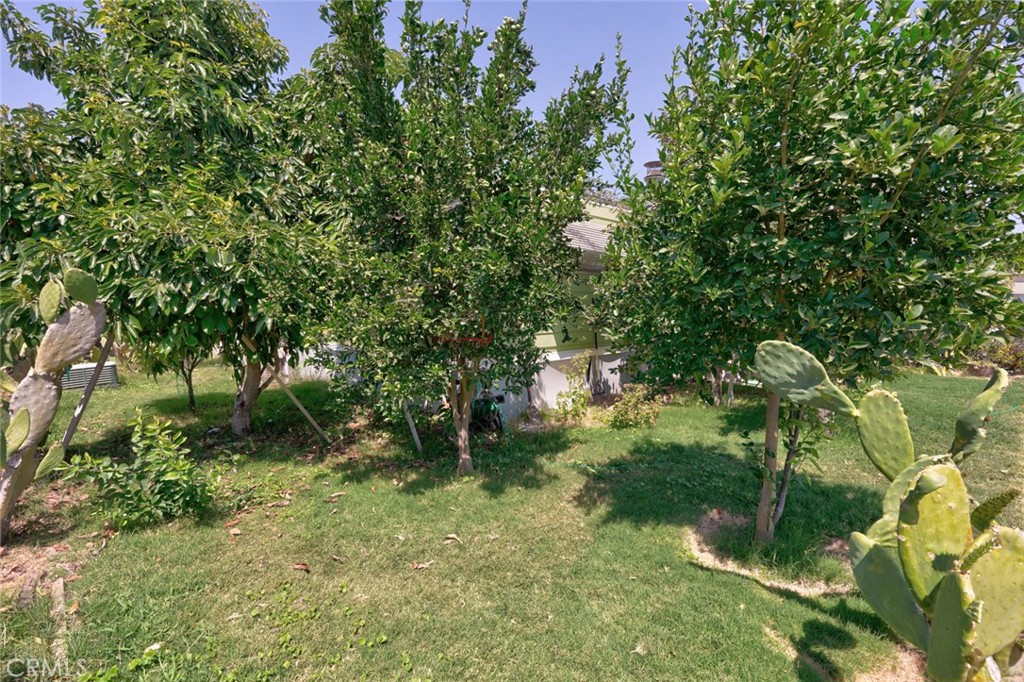 2500 N State Highway 59 Property Photo 33
