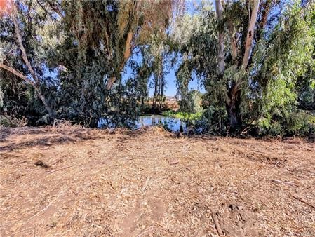 3335 Cunningham Rd S Property Photo 4