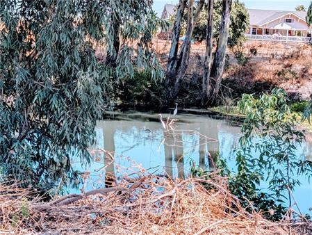3335 Cunningham Rd S Property Photo 5