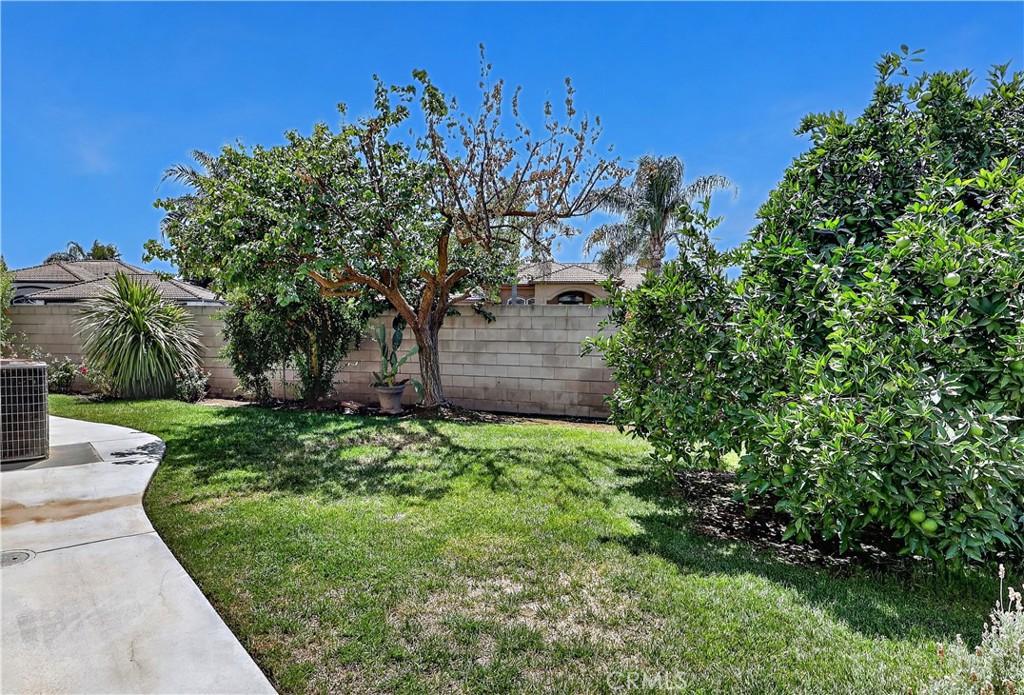 3077 Express Court Property Photo 46
