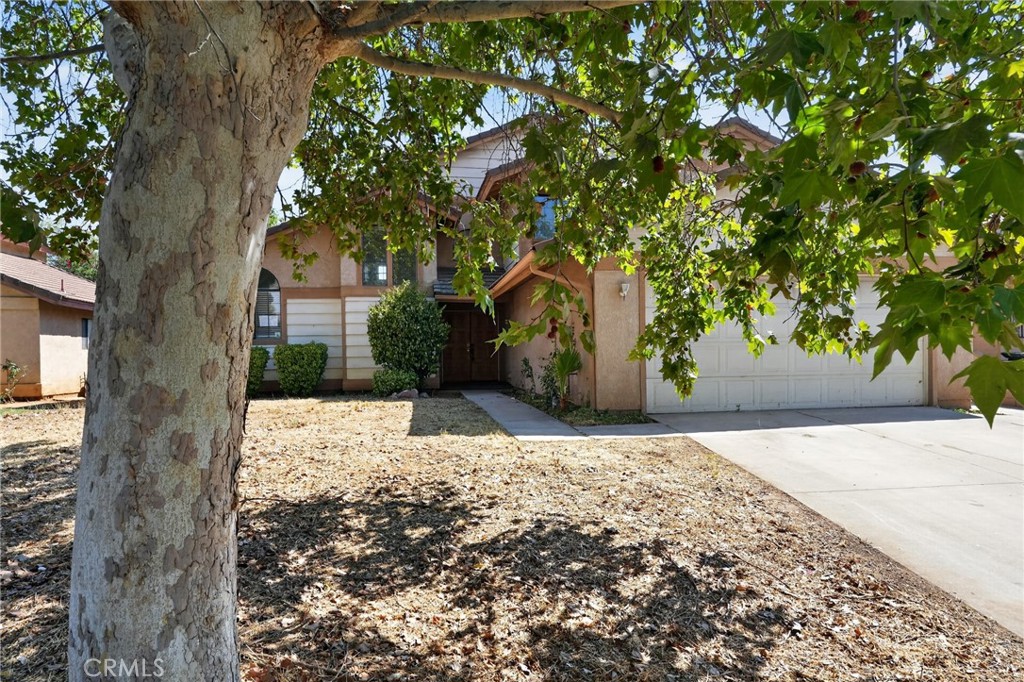 25183 Gorgonio Property Photo 2