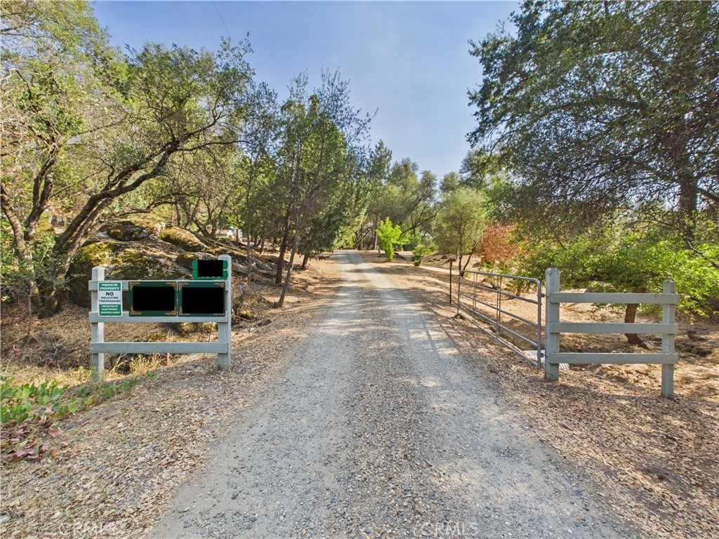 4583 & 4587 Ben Hur Property Photo 4