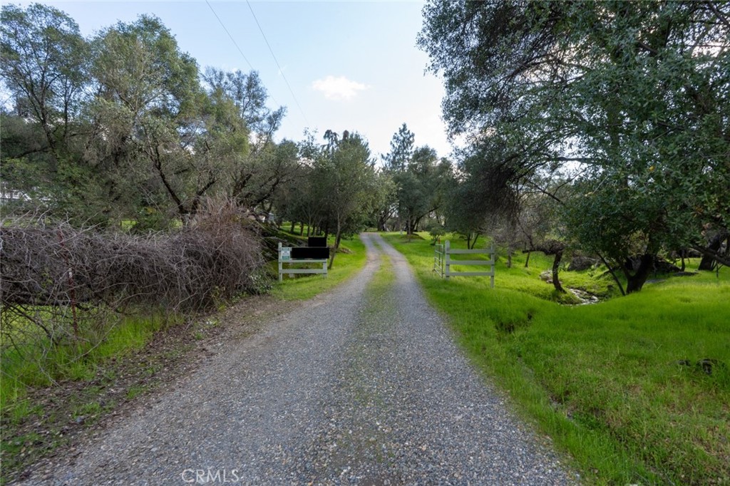 4583 & 4587 Ben Hur Property Photo 8