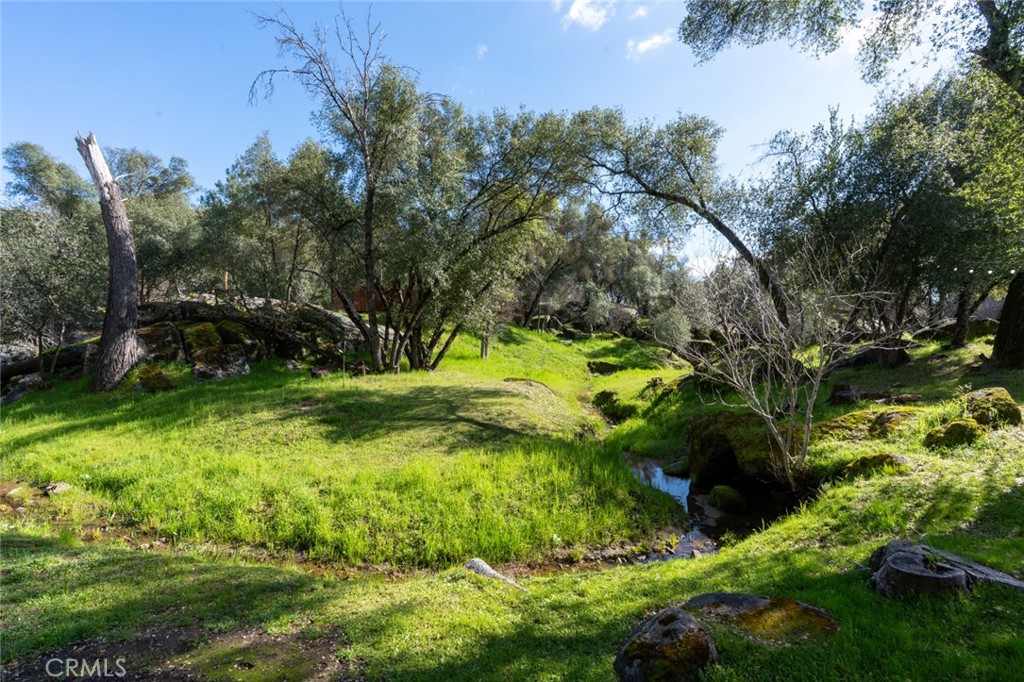 4583 & 4587 Ben Hur Property Photo 17