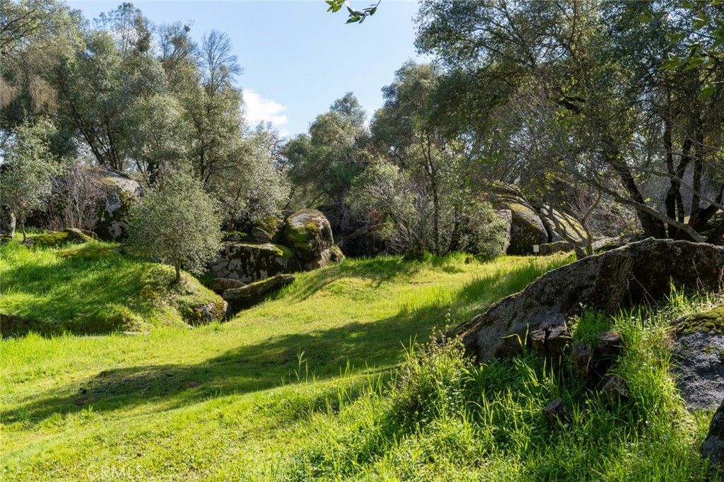 4583 & 4587 Ben Hur Property Photo 21