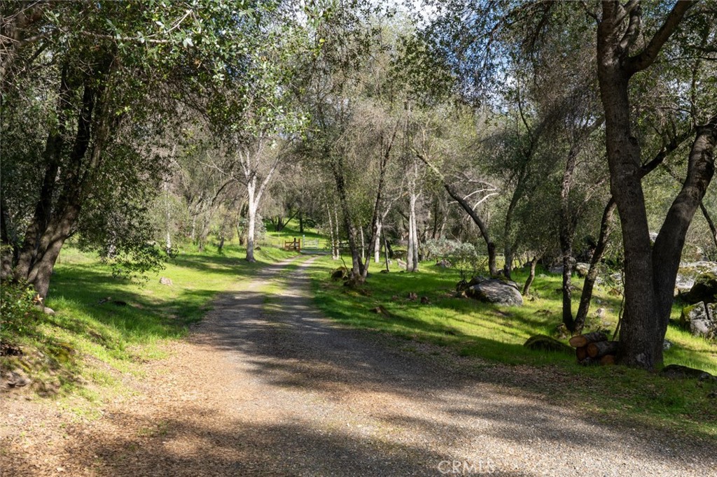 4583 & 4587 Ben Hur Property Photo 31
