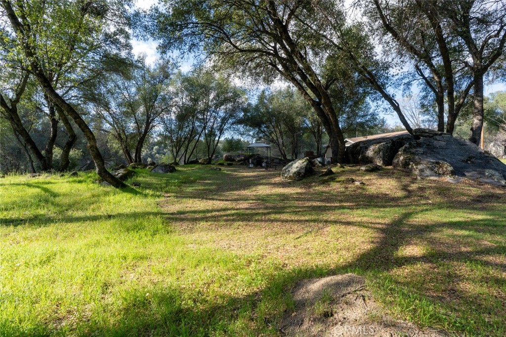 4583 & 4587 Ben Hur Property Photo 32