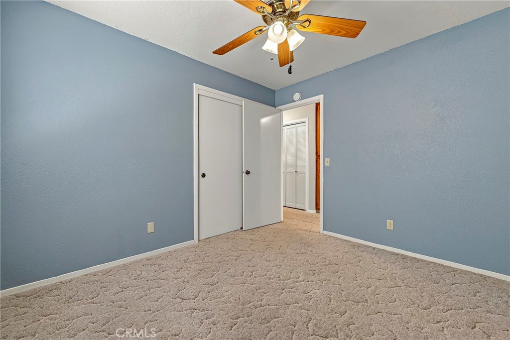 3311 Shamrock Property Photo 38