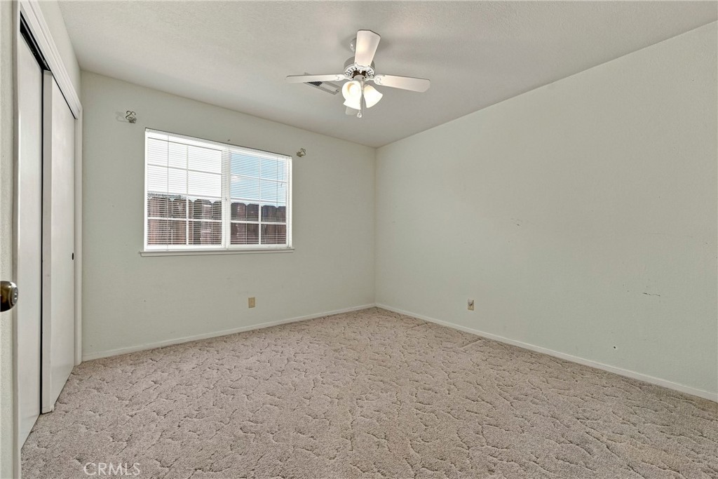3311 Shamrock Property Photo 39
