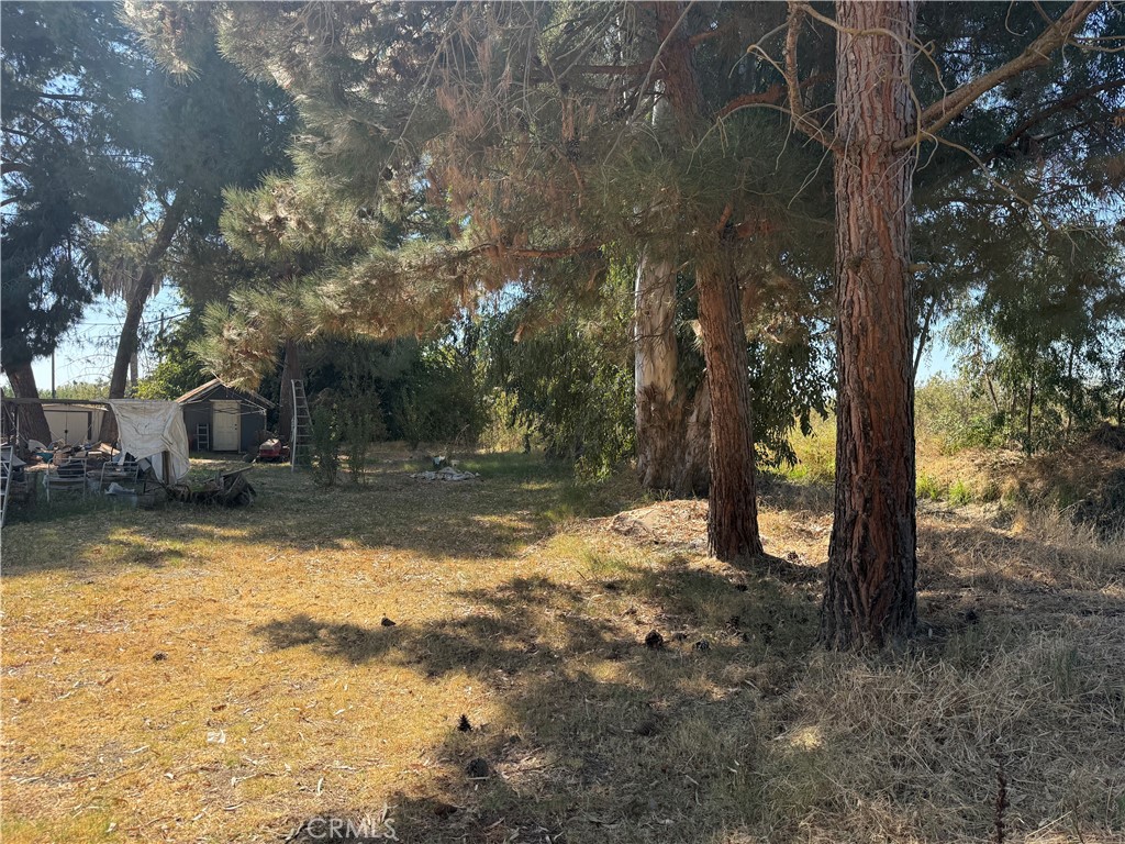 16556 Road 19 Property Photo 4
