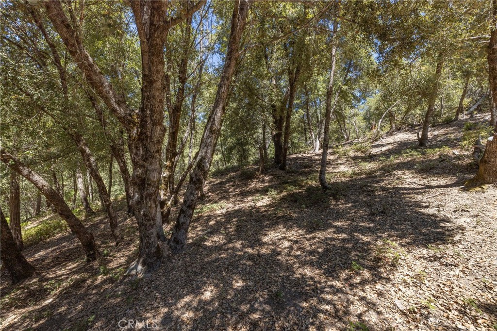 8 N Cedar Vista Circle N Property Photo 16