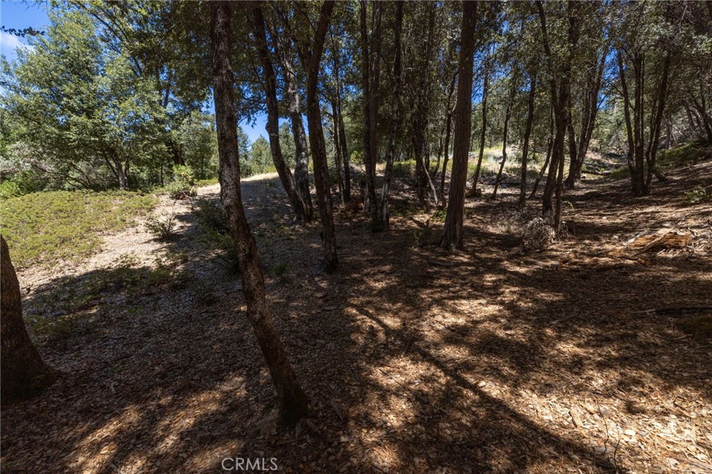 8 N Cedar Vista Circle N Property Photo 42