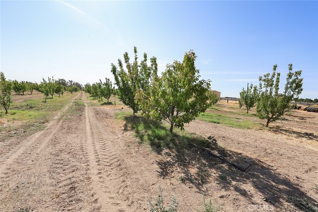 23652 Road 18 3/4 Property Photo 1