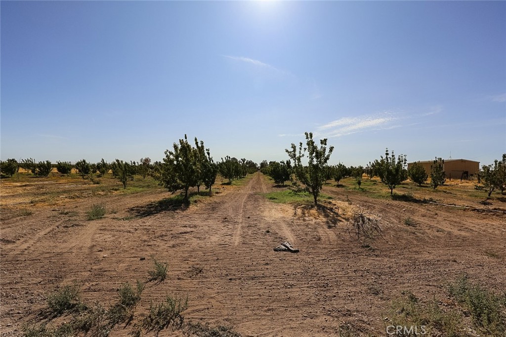 23652 Road 18 3/4 Property Photo 31