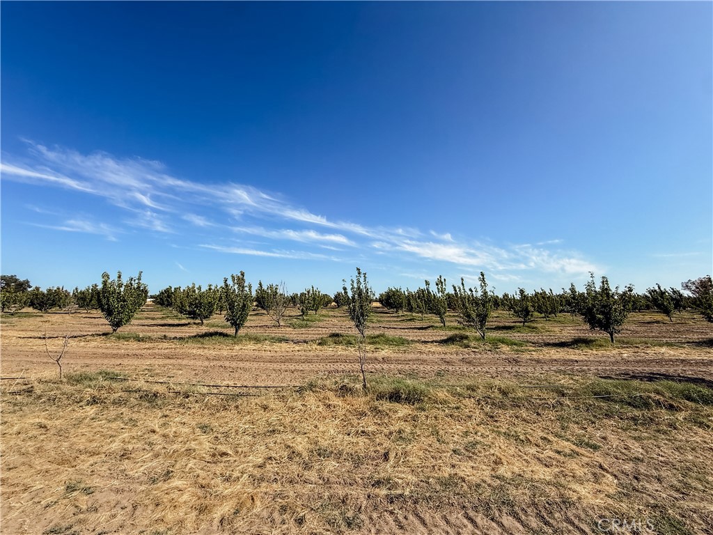 23652 Road 18 3/4 Property Photo 43