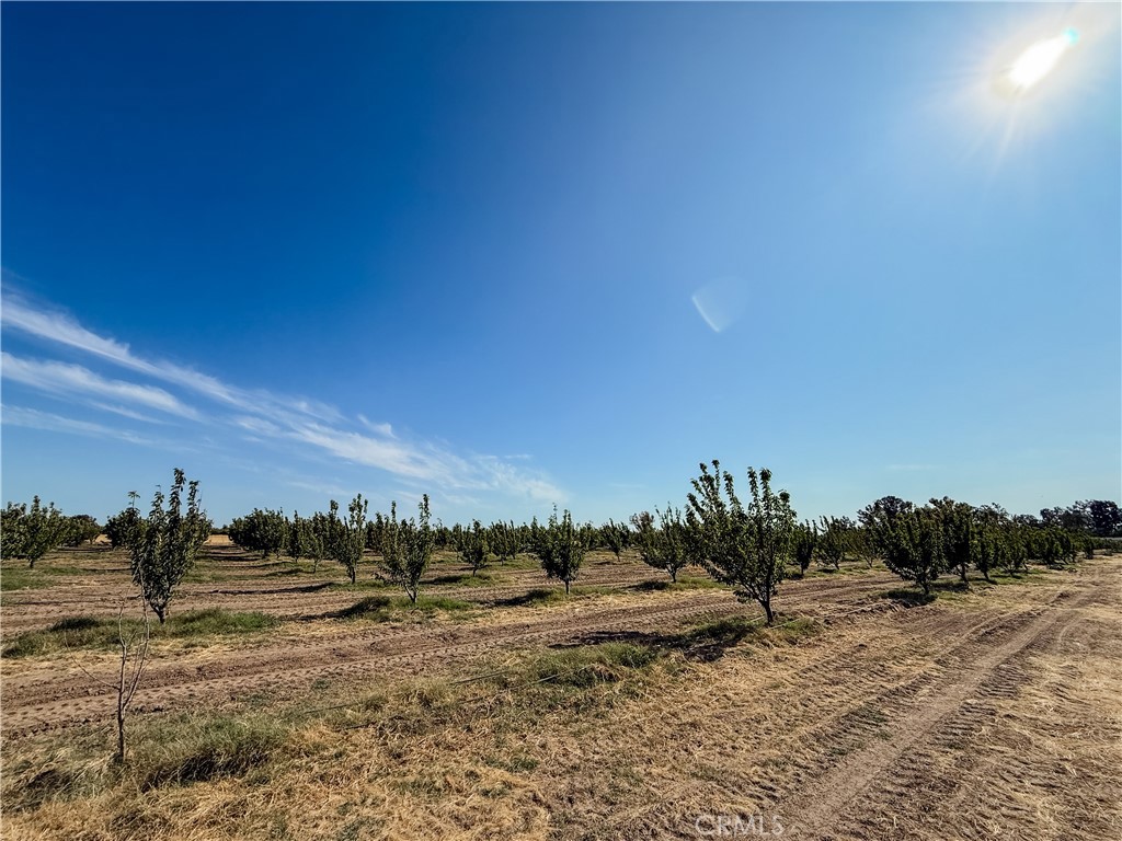 23652 Road 18 3/4 Property Photo 44