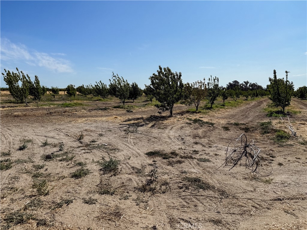 23652 Road 18 3/4 Property Photo 49